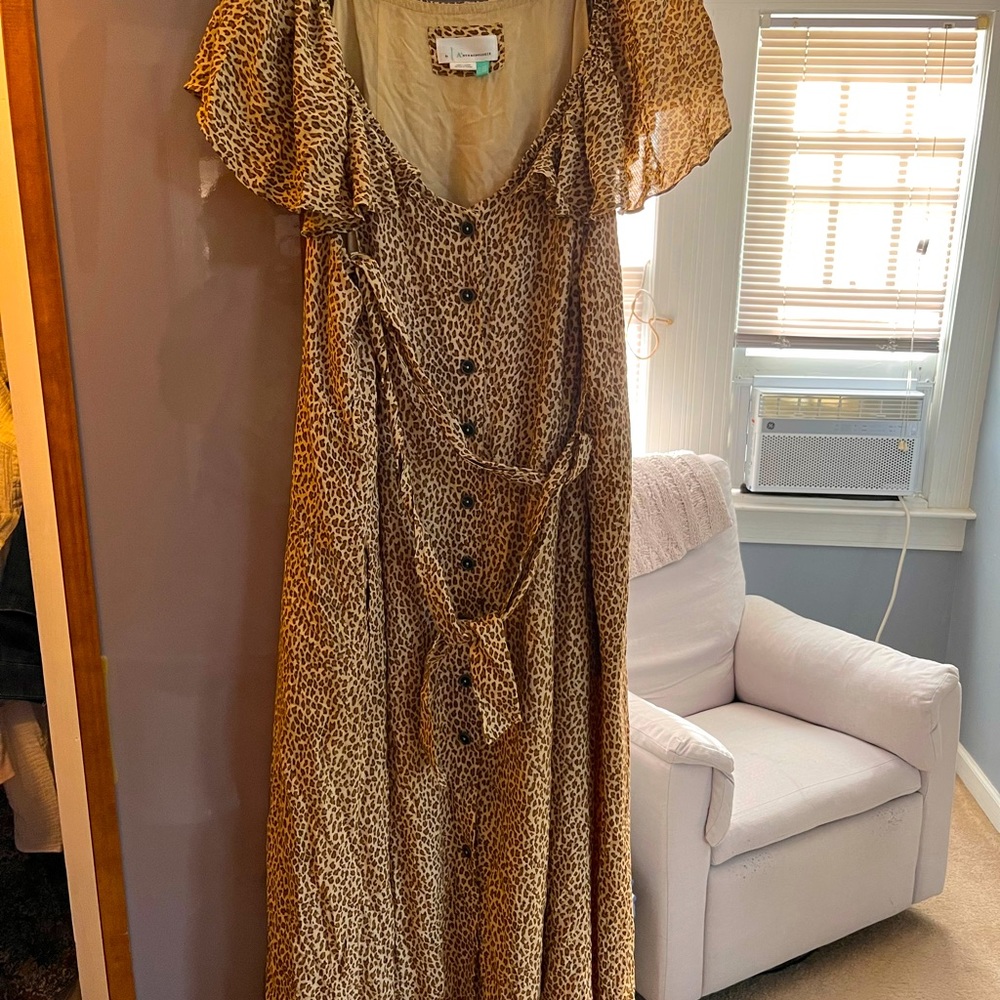 Anthropologie Plus dress!